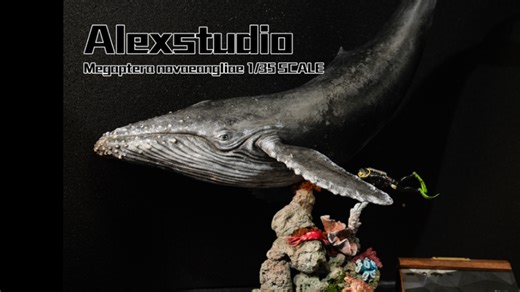 Alexstudio涂装之35比例座头鲸模型写实版 2026开年新作