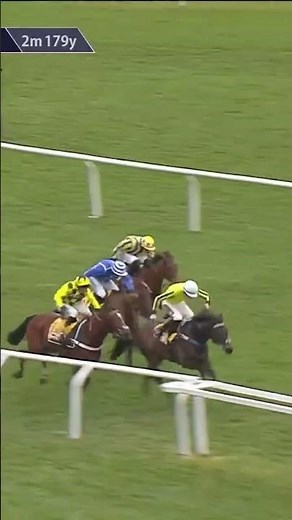 PONIROS - 100/1 winner of the Triumph! #horse #horseracing #racingtv #sport #britishhorseracing