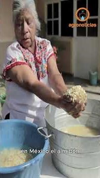 Starch: what is it and what is it used for?
