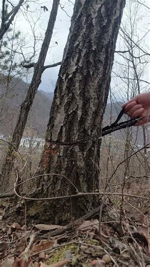 The Manual Chain Saw : How It Works