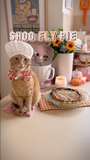Amish Shoo Fly Pie: Purrfect for Fall