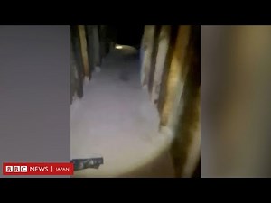 米・メキシコ国境で密輸トンネル発見 照明や換気設備も