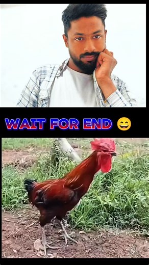 Arsad Ansari on Instagram: "Murga 😄"