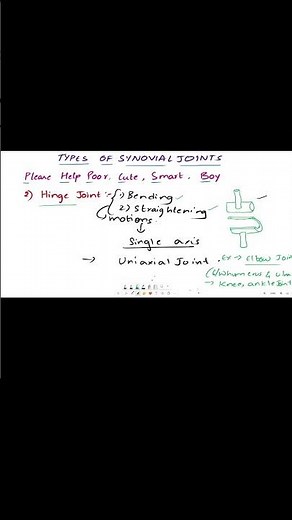 Plane Joint and Hinge Joint – Key Points for Exams | Types of Synovial Joints