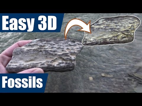Fossil 3D scanning - how to make a 3D model in 15 minutes [3Dmakerpro Seal]