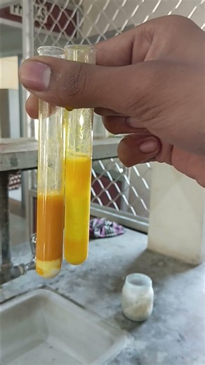 Test for Pb++Basic Radical