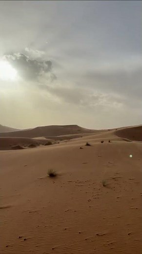 Gazing at Desert Dunes, Sahara Desert, Morocco Top Travel from Kateryna K. 🏜️