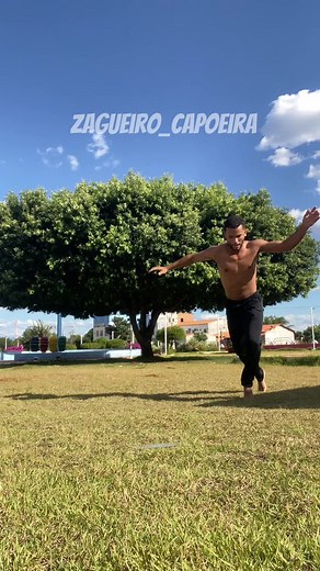 Qual melhor floreio? @gordinho_capoeira @João vitor #CapCut #mortal #vlogs #capoeira #capoeirando #tutorial #cutviral @Zagueiro_Capoeira