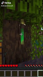 Mangrove Propagule to Tree Transformation in Minecraft