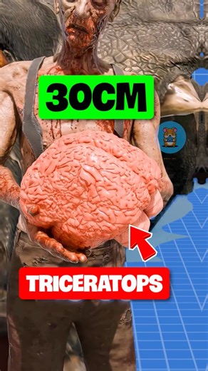 NÃO CỦA TRICERATOPS VS T REX | 😨 #fact #amazingfacts #thaukinhdongvat