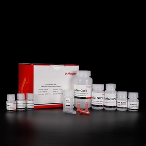 [Hot Item] HiPure FFPE DNA Kit Isolation total DNA from FFPE tissue