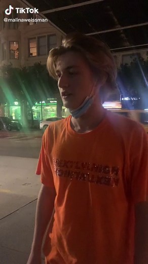 Howl’s moving castle live action remake