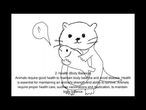 Other Basic Animal Needs for Survival