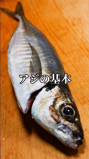 どんな料理にも使えるアジの三枚おろし #アジ #魚の捌き方 #三枚おろし