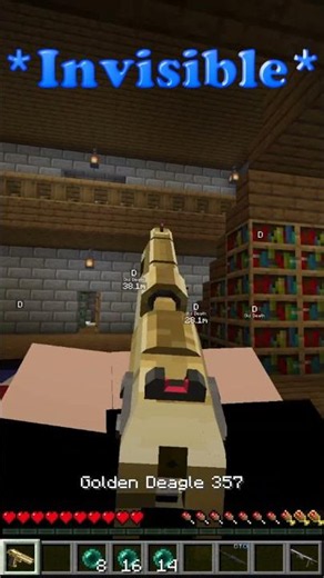 Minecraft Invisible Hide and Seek #17
