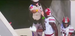 DPS trooper removed from Texas A&M game after confrontation with South Carolina players