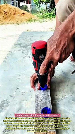 Waste bottles turn into vertical gardens in seconds #skills #creativeideas #diy #clever #practical