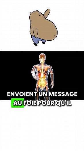 Comment savoir si vous êtes prédiabétique