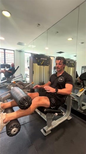 Seated Hamstring Curl Machine