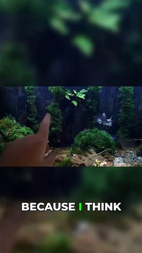 Build a Subwassertang Rope! (Grow Plants Fast!)