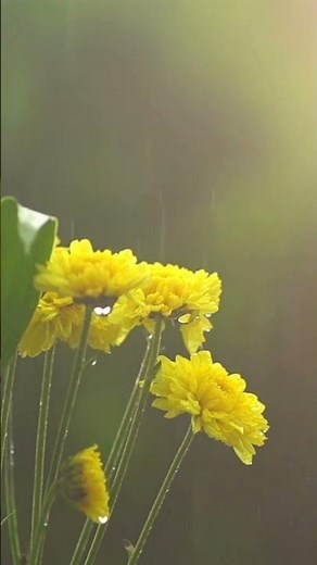 Ode — Praise Given | Example Poem #poetry #booktok #poem