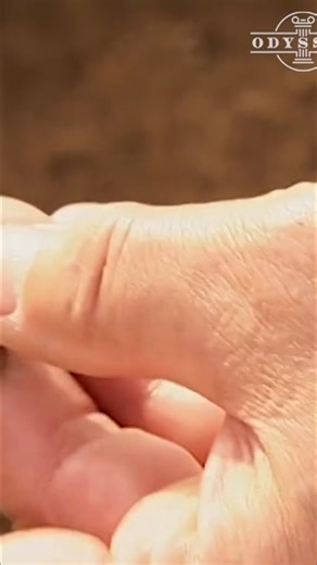 Iron Age Settlement: Unearthing Ancient British History | Odyssey - Ancient History