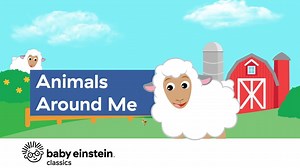 Baby Einstein Classics Season 1 Episode 1 - Animals Around Me