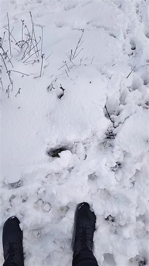 Discover the Love Army Audition Journey