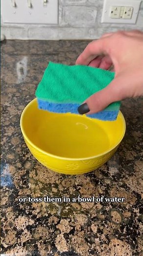 How To Disinfect Sponges🧽