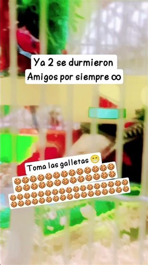 23 de diciembre de 2025