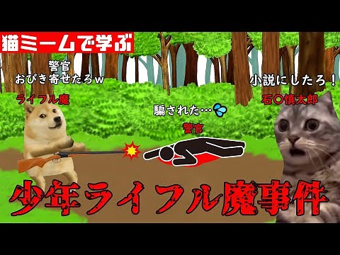 猫ミームで学ぶ少年ライフル魔事件 #猫マニ #猫ミーム