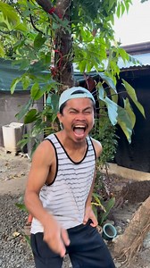 Kaloko monkey 😲😳🤣 | George Bonzo