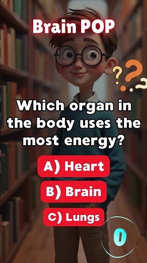 Which organ in the body uses the most energy?