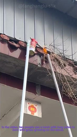 Weed Removal Life Hack: Two People Use Torch to Burn Wild Grass on Eaves