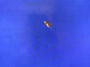 A Don Bluth Film/Sullivan Bluth Studios Ireland Lid/Goldcrest Logo