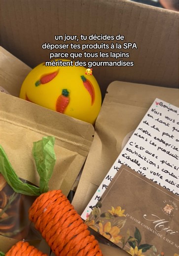 Encore un grand merci au bénévole de la @SPA de Haguenau qui a récupéré le carton et avec qui j’ai échangé 🙏🏻! En espérant que les petits lapinous vont adorer nos produits 🌸 #pourtoi #lapins #lapinou #friandisespourlapin #pourtoii