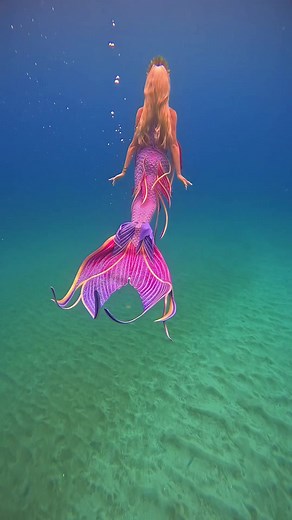 💦🥹 I love how the world above looks from below the surface. The light hitting the water always looks like something out of a beautiful dream. 💫🫧 #mermaid #mermaids #mermaidtail #merpeople | Mermaid Aqualina