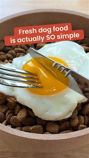 🐶 The secret to a happy pup 🧡 🐕 Fresh food with meal plans catered to your dog’s needs 🐾 Get 50% off your first box when you try The Farmer’s Dog! 😋 Made from human-grade ingredients ✅ Developed by board-certified vets 📦 Delivered to your door ready-to-serve | So Yummy