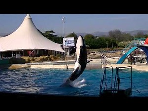 Marineland Antibes spectacle des orques