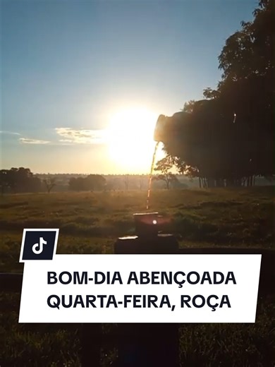 MEU AMANHECER NA ROÇA SENHOR MEU DEUS. NOS ABENÇOE #DEUSNOCONTROLE #ROÇA #AMANHECER #CAFE #nascersol