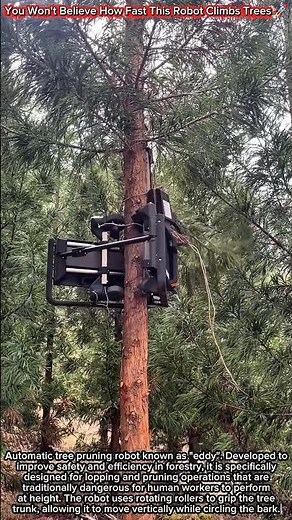 You Won't Believe How Fast This Robot Climbs Trees 🚀