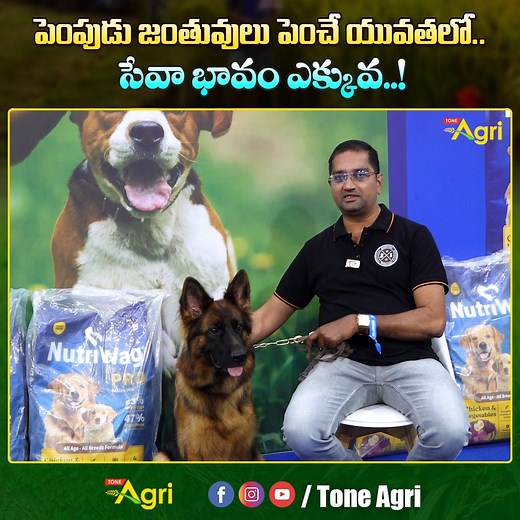 Dog Breeding and Feeding Tips for Beginners by Krishna Prasad at Hycan 2025 – India’s Biggest Pet Show. Dogs, Cats, Exotic Pets at Hyderabad. Welcome to Hycan 2025 – India’s Biggest Pet Show! Experience the most exciting celebration of pets and pet lovers, featuring top dog breeds, cats, birds, reptiles, exotic animals, and everything in between! Whether you're a new pet parent or planning to start responsible dog breeding, this video covers everything you need to raise healthy puppies and maint