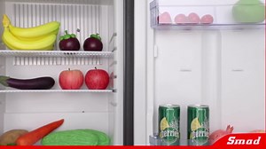 Smad 3 Way Caravan Propane Fridge 110V/12V/LPG Gas Refrigerator for RV Campervan, Black, 2.1 Cu.ft.