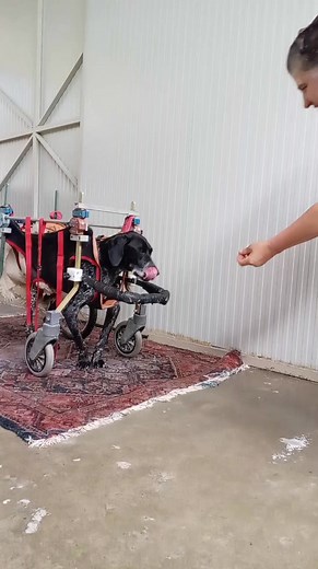 Progetto Pandora on Reels