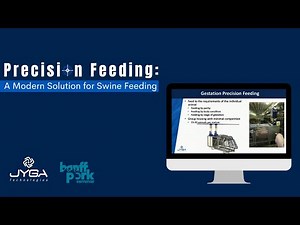 Precision Feeding: A Modern Solution for Swine Feeding