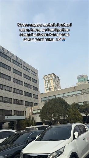 Navigating Life as a Student in Korea