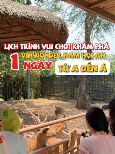 Lịch trình vui chơi ở Vinwonders Nam Hội An #nhungtraveldanang #vinwonders #dulichhoian #vinwondersnamhoian