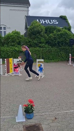 førsteplads. Vandt en roset og en grime.20 #hobby_horse #kæphest #hobbyhorse fjordhest #førsteplads