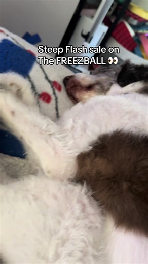 Get Your Freezball at 50% Off – Limited Time Offer!