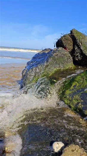 Fresh Water Meets the Sea – Normandy Coast Flow #travel #silentwalk #relaxingwalk